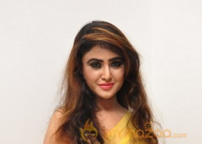 Sony Charishta Hot Photo Shoot photo 15