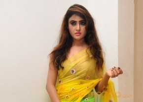 Sony Charishta Hot Photo Shoot photo 18