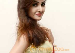 Sony Charishta In Gold Dress photo 5
