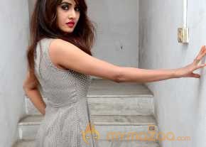 Sony Charishta Photoshoot On Mini Frock photo 8