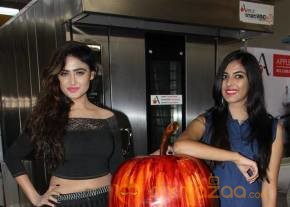 Sony Charishta Stills At Bakers Technology Fair 2016