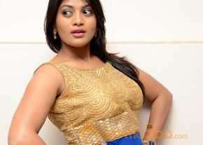  Soumya Photoshoot At Lion Success Meet  photo 5