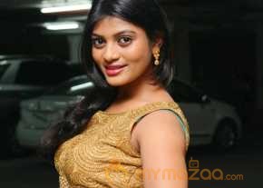  Soumya Photoshoot At Lion Success Meet  photo 2