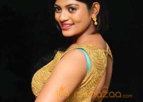  Soumya Photoshoot At Lion Success Meet  photo 14