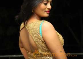  Soumya Photoshoot At Lion Success Meet  photo 7