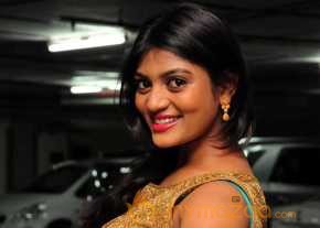  Soumya Photoshoot At Lion Success Meet  photo 10