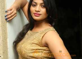  Soumya Photoshoot At Lion Success Meet  photo 12