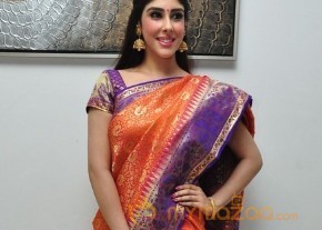 Sri Sexy Hot Exposing Stills photo 13