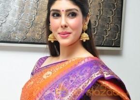 Sri Sexy Hot Exposing Stills photo 21