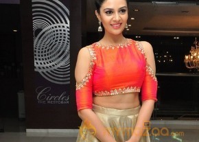 Srimukhi Telugu Actress and Anchor Pics photo 26