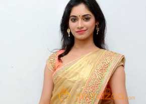 Sruthi Mol Saree Stills photo 3