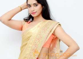 Sruthi Mol Saree Stills photo 5