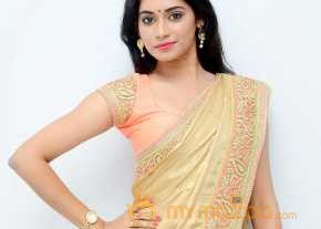 Sruthi Mol Saree Stills photo 6