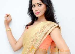 Sruthi Mol Saree Stills photo 4