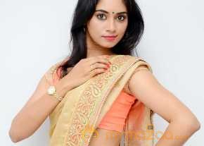 Sruthi Mol Saree Stills photo 2