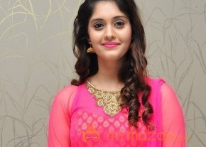 Surabhi at Gentleman Movie Success meet  photo 10