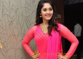 Surabhi at Gentleman Movie Success meet  photo 13