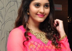 Surabhi at Gentleman Movie Success meet  photo 14