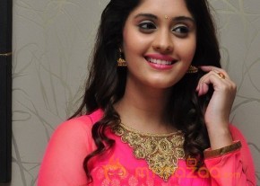 Surabhi at Gentleman Movie Success meet  photo 17