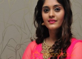 Surabhi at Gentleman Movie Success meet  photo 7