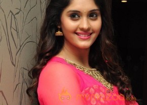 Surabhi at Gentleman Movie Success meet  photo 8