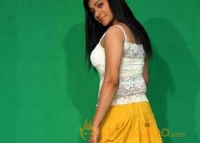 Swetha Shaini photo 8