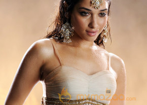  Tamanna Bhatia  photo 19