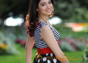 Tamanna Bhatia  photo 22