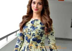  Tamanna Bhatia  photo 2