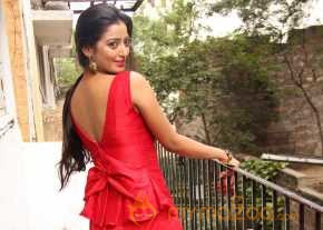 Tarunika photo 5