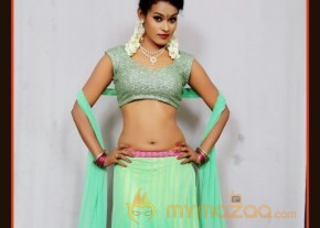 Telugu Dancer Nisha Portfolio Stills photo 9