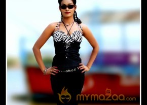 Telugu Dancer Nisha Portfolio Stills photo 13