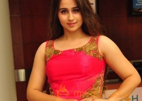 Telugu New Actress Simrath Photoshoot photo 12