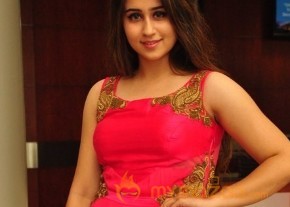 Telugu New Actress Simrath Photoshoot photo 36