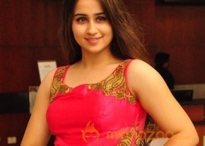 Telugu New Actress Simrath Photoshoot photo 29