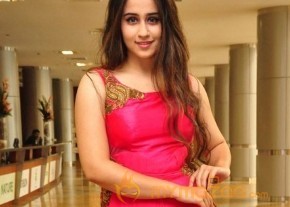 Telugu New Actress Simrath Photoshoot photo 31