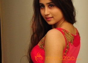 Telugu New Actress Simrath Photoshoot photo 33