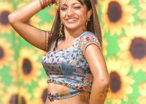 Trisha Krishnan photo 15