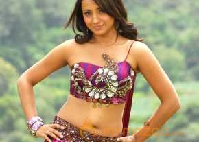 Trisha Krishnan photo 12