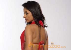 Trisha Krishnan photo 13
