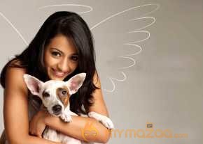Trisha Krishnan photo 9