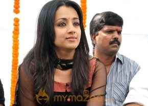 Trisha Latest Pic photo 4