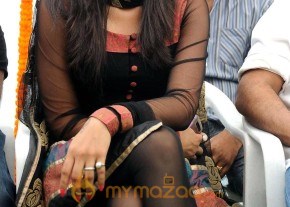 Trisha Latest Pic photo 5