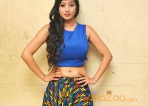  Vaibhavi Joshi Photoshoot At Tiger Sultan Teaser Launch  photo 6