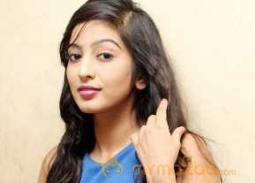  Vaibhavi Joshi Photoshoot At Tiger Sultan Teaser Launch  photo 15