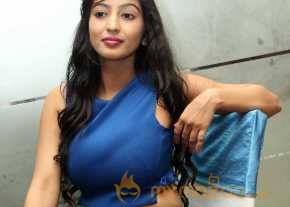  Vaibhavi Joshi Photoshoot At Tiger Sultan Teaser Launch  photo 23