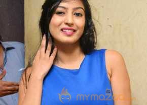  Vaibhavi Joshi Photoshoot At Tiger Sultan Teaser Launch  photo 10