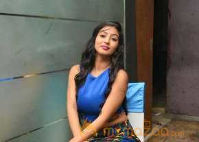  Vaibhavi Joshi Photoshoot At Tiger Sultan Teaser Launch  photo 20