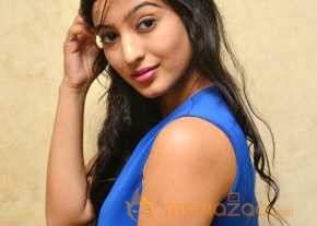  Vaibhavi Joshi Photoshoot At Tiger Sultan Teaser Launch  photo 18