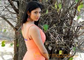 Vandita Photoshoot At Geethopadesam Audio Launch photo 2